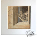 Load image into Gallery viewer, Cotswold Cat
