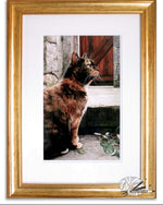 Load image into Gallery viewer, Captivating
