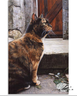 Load image into Gallery viewer, Captivating
