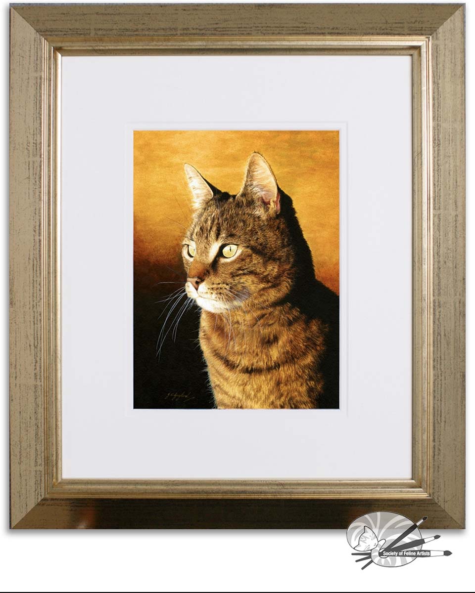"Contemplation" Tabby Cat