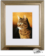 Load image into Gallery viewer, &quot;Contemplation&quot; Tabby Cat
