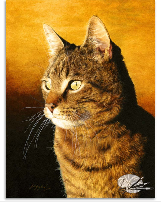 "Contemplation" Tabby Cat