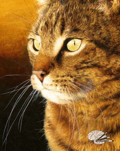 "Contemplation" Tabby Cat