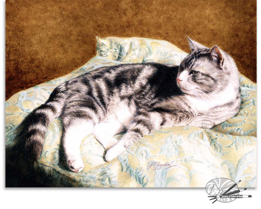 Cushion love
