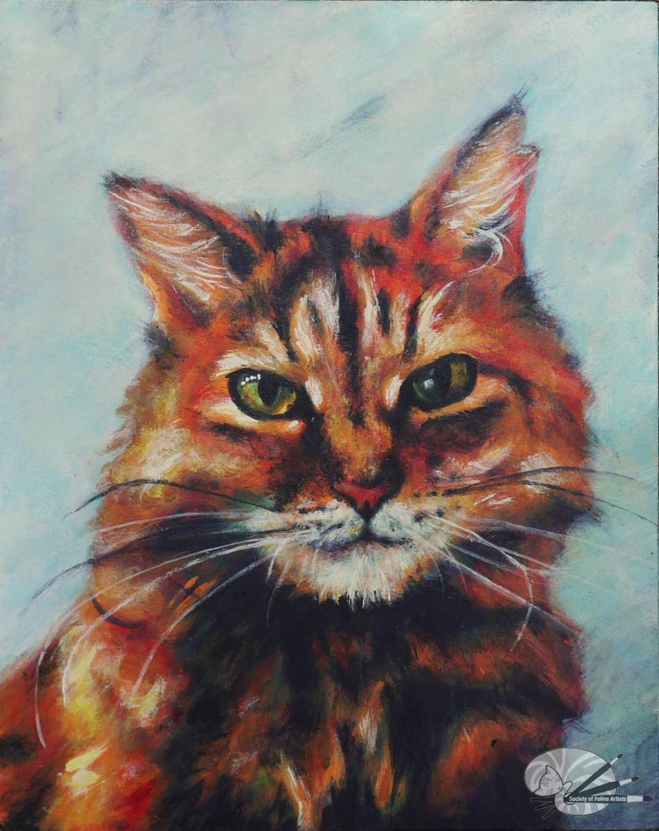 Tommy the Cat