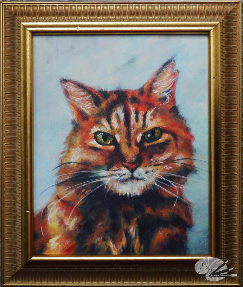 Tommy the Cat