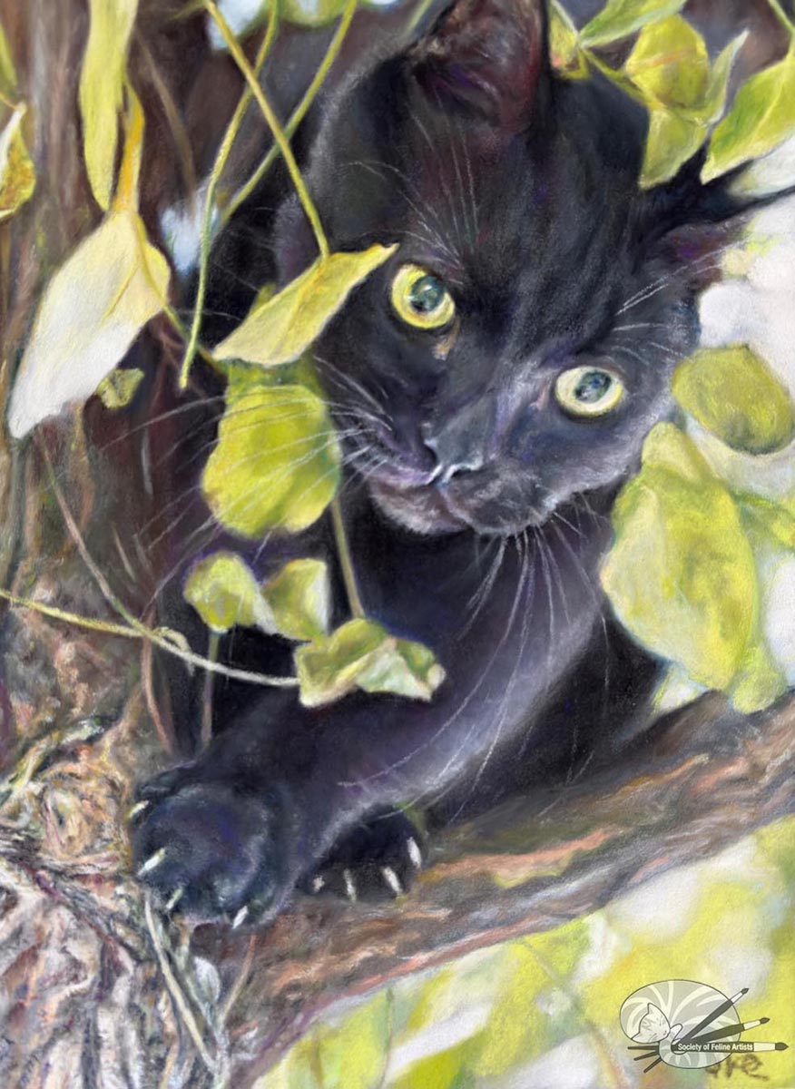 In Hiding