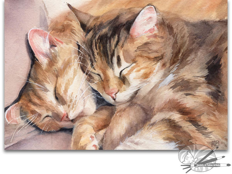 Safe And Warm