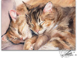 Load image into Gallery viewer, Safe And Warm
