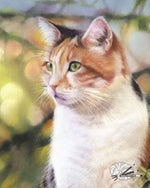 Load image into Gallery viewer, Cat on the roof
