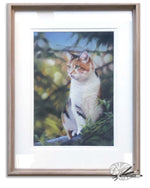 Load image into Gallery viewer, Cat on the roof
