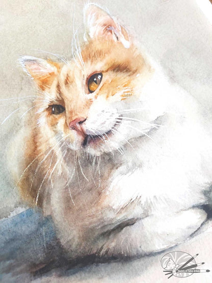 Ginger & White