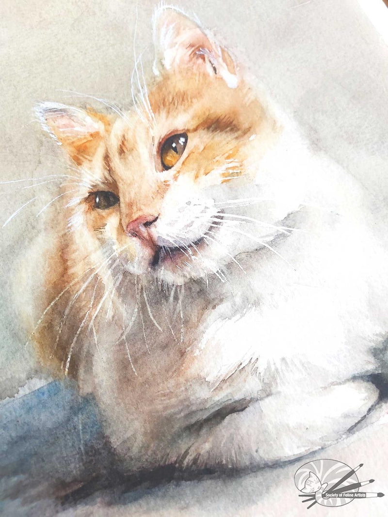 Ginger & White