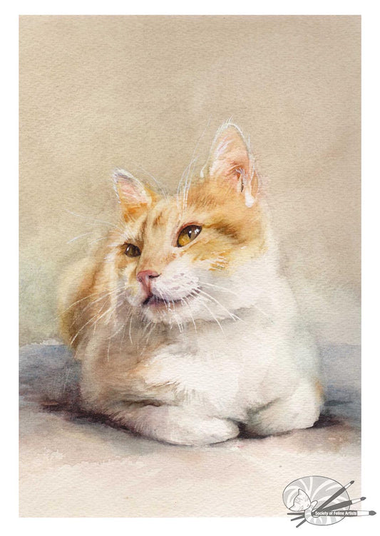 Ginger & White