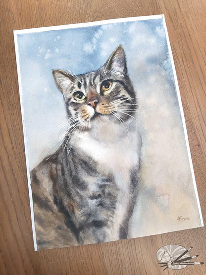 Tabby Blue
