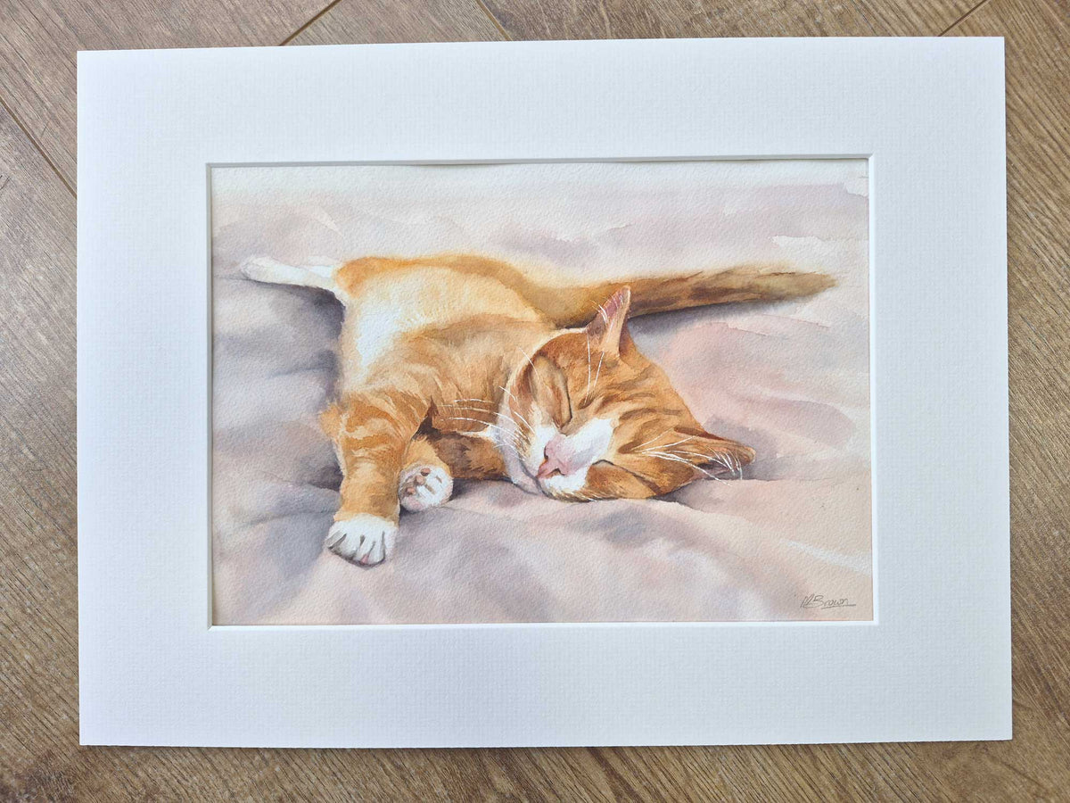 Comfy as can be