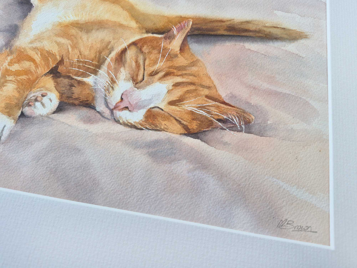 Comfy as can be