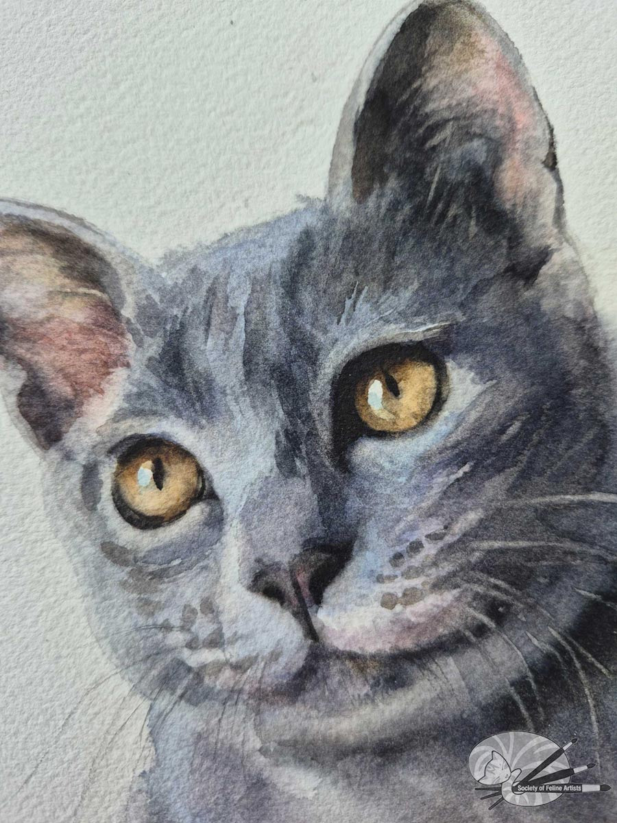 Russian Blue