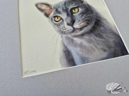 Russian Blue