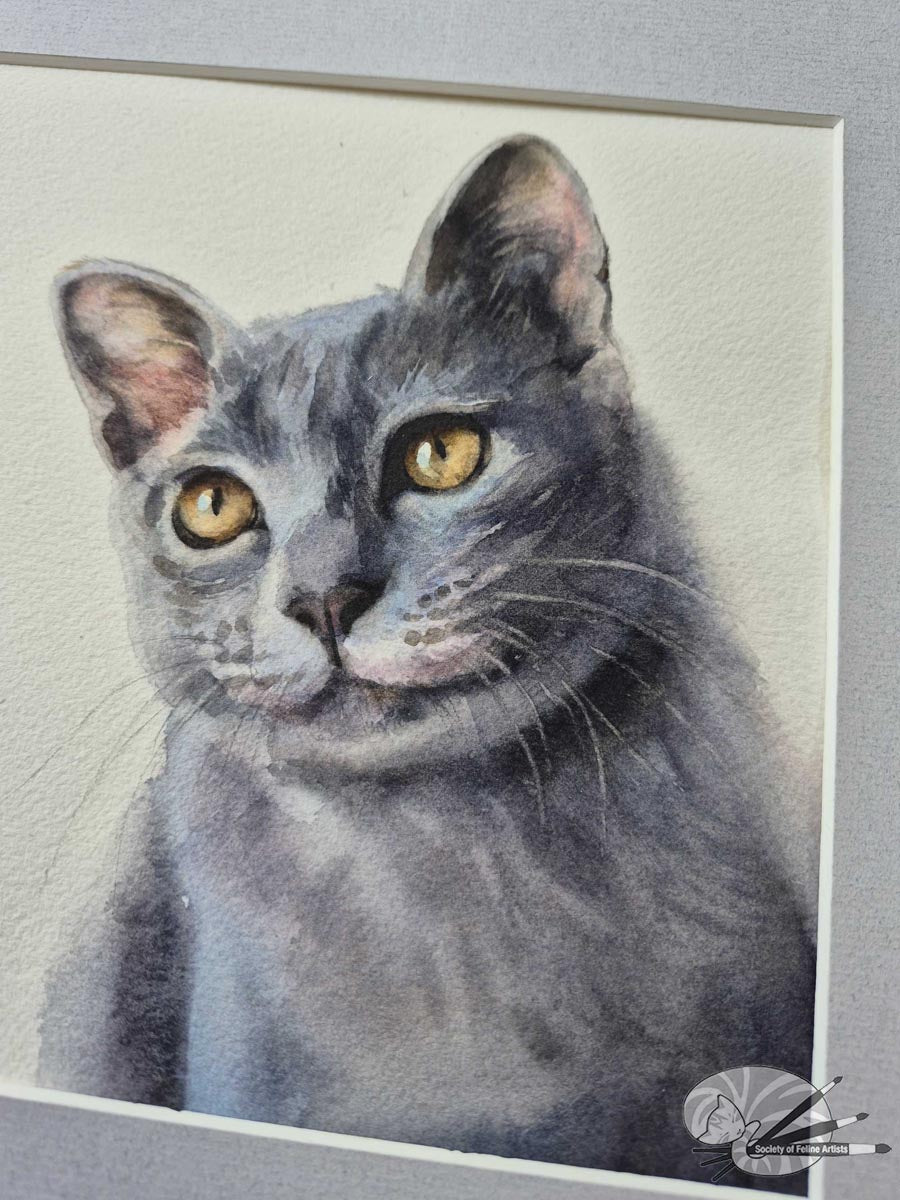 Russian Blue
