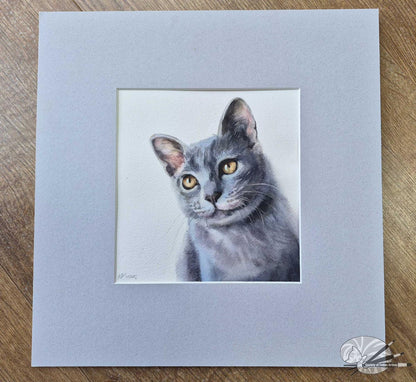 Russian Blue