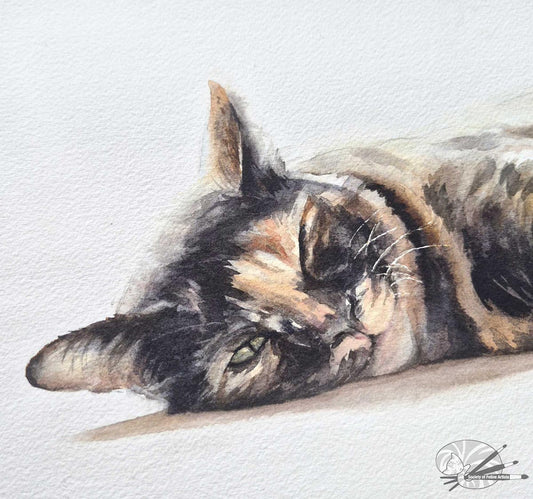 Tortoiseshell Cat