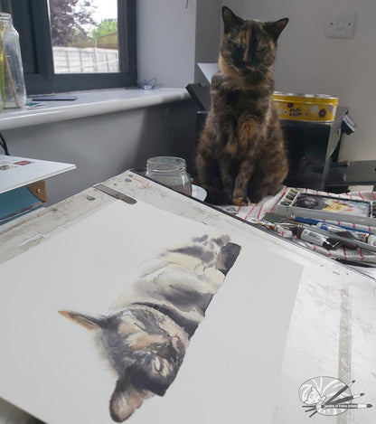 Tortoiseshell Cat
