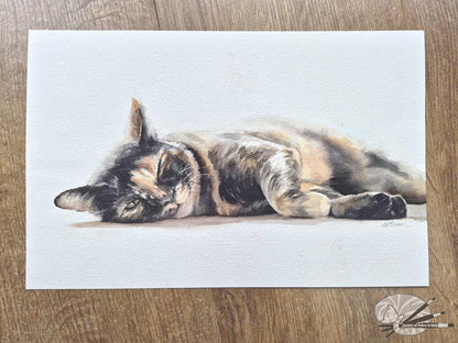Tortoiseshell Cat
