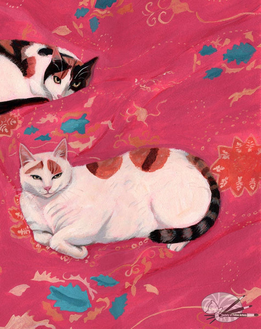 Cats on the Bed