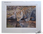 Load image into Gallery viewer, African Beauty - Limited Edition Print
