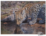 Load image into Gallery viewer, African Beauty - Limited Edition Print
