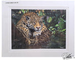 Load image into Gallery viewer, Yaguara - Jaguar - Limited Edition Print
