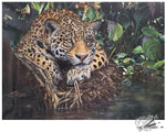 Load image into Gallery viewer, Yaguara - Jaguar - Limited Edition Print
