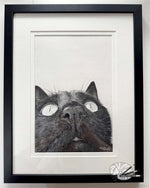 Load image into Gallery viewer, Close Up
