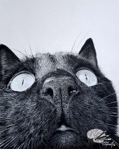 Close Up