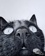 Load image into Gallery viewer, Close Up
