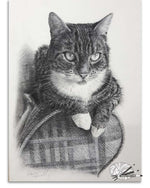 Load image into Gallery viewer, The Boss
