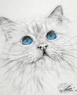 Load image into Gallery viewer, Birman Blue
