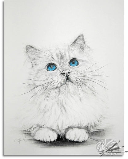Birman Blue