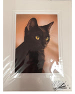 Load image into Gallery viewer, Mina - Open Edition Print
