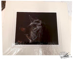 Load image into Gallery viewer, Radiant - Open Edition Print

