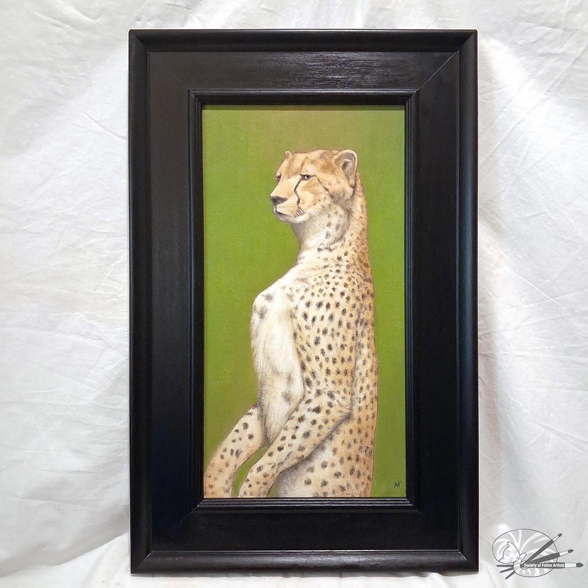 Cheetahs Gaze