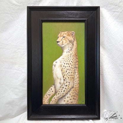 Cheetahs Gaze