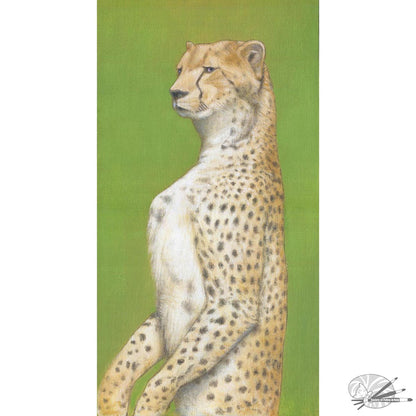 Cheetahs Gaze