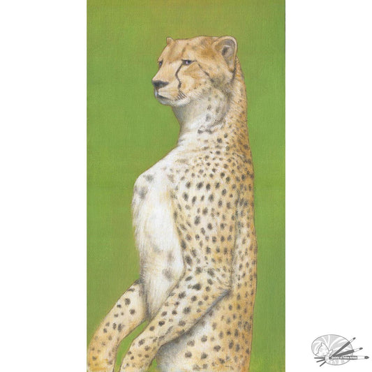 Cheetahs Gaze