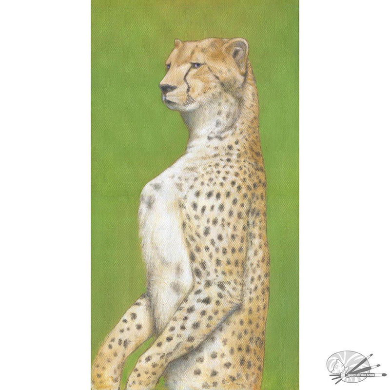Cheetahs Gaze