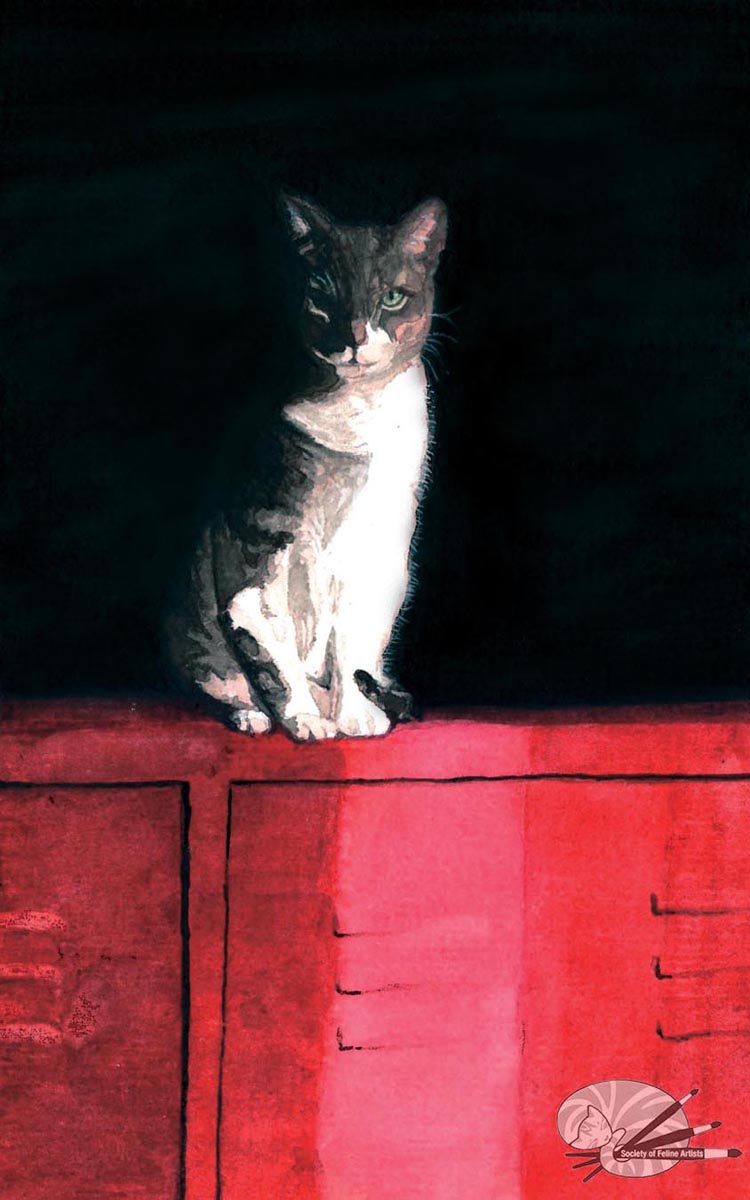 Judgement
