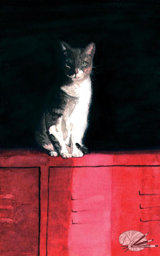 Judgement