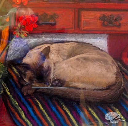 Bob Asleep On The Dresser