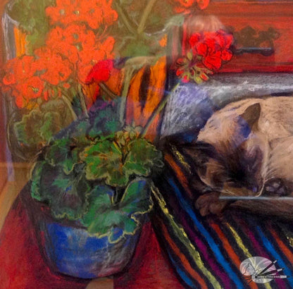 Bob Asleep On The Dresser